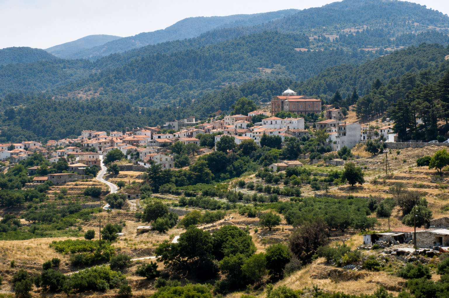 Παραδοσιακά σπίτια και αυλές στα Κονταίικα Σάμου με φόντο τον Καρβούνη.
