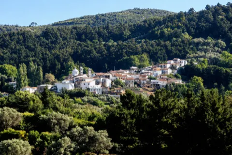Παραδοσιακά σπίτια στην Καστανιά Σάμου, μέσα σε καταπράσινο τοπίο.